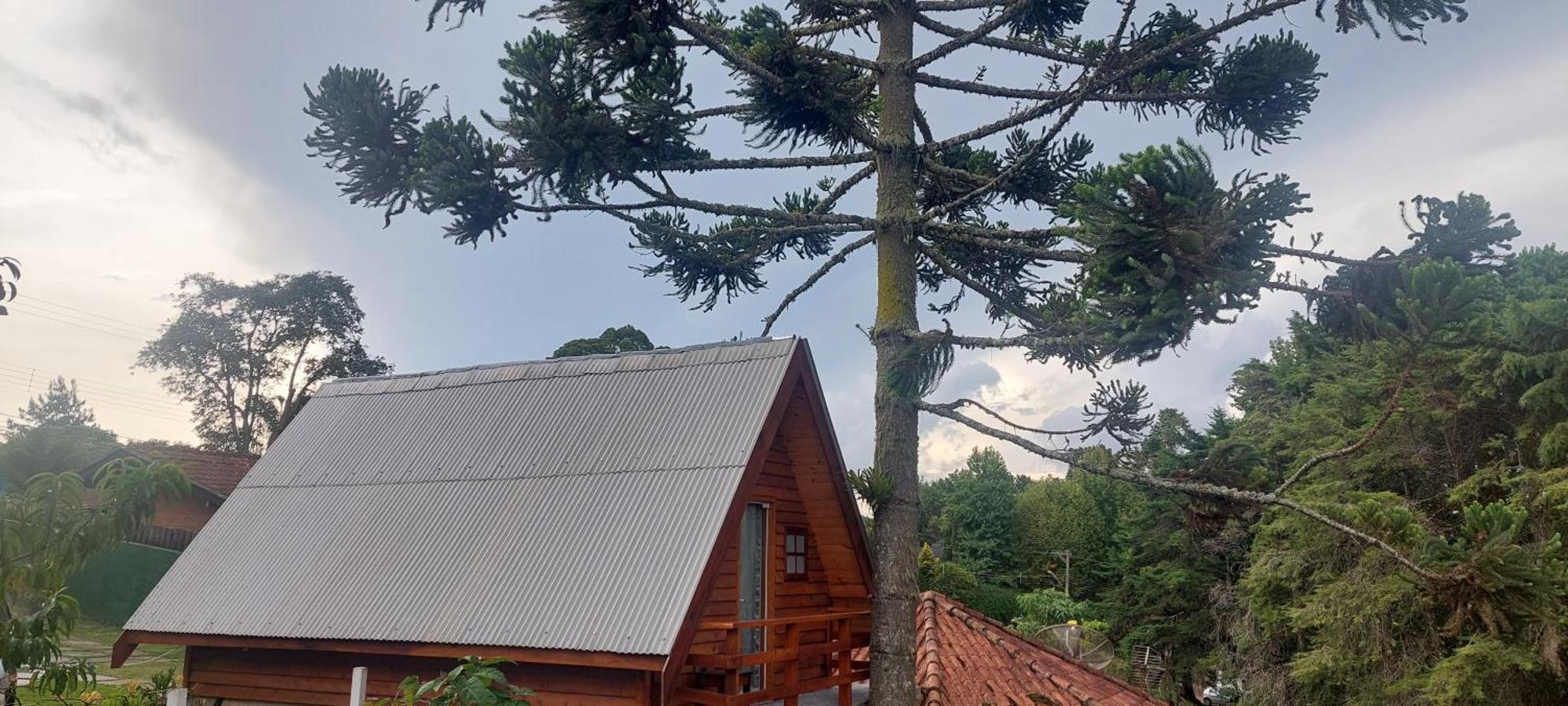 Chale Com Hidromassagem Da Vick Hotel Campos do Jordão Exterior foto